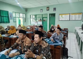 WhatsApp Image 2026 03 12 at 13.26.17