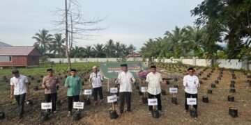 WhatsApp Image 2026 03 12 at 7.54.14 AM