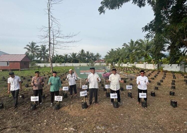 WhatsApp Image 2026 03 12 at 7.54.14 AM