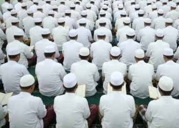 WhatsApp Image 2026 03 13 at 11.48.44