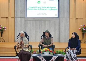 WhatsApp Image 2026 03 13 at 13.07.41