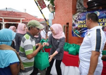 WhatsApp Image 2026 03 13 at 19.24.01