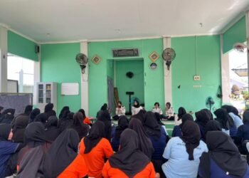 WhatsApp Image 2026 03 16 at 13.10.37