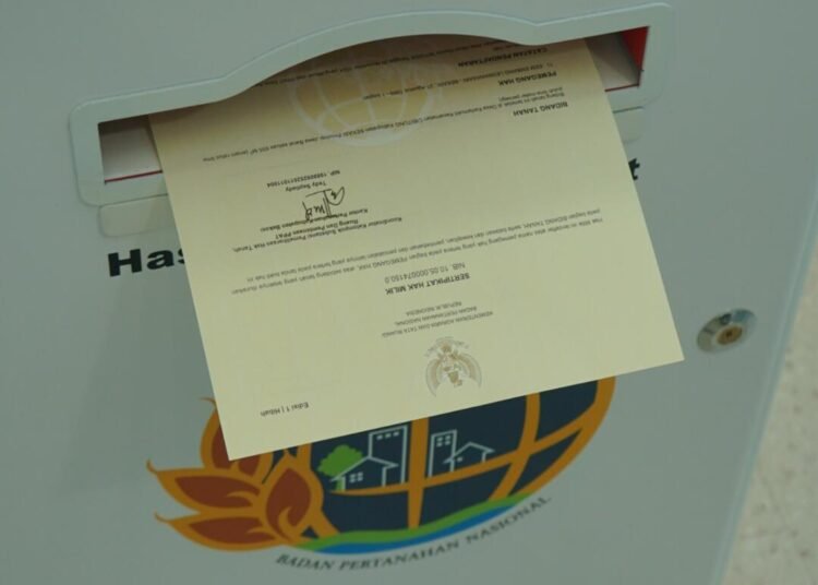 WhatsApp Image 2026 03 17 at 12.32.55