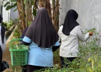 WhatsApp Image 2026 03 19 at 16.31.40