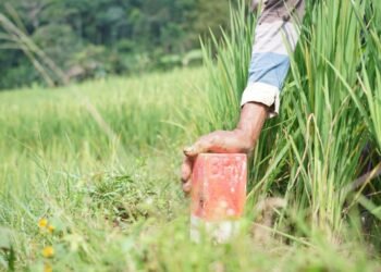 WhatsApp Image 2026 03 20 at 15.13.00