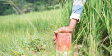 WhatsApp Image 2026 03 20 at 15.13.00