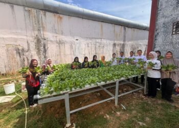 Bukti Nyata Pembinaan Kemandirian WBP, Karutan Bengkulu Pimpin Panen Pakcoy 46 WhatsApp Image 2026 03 25 at 10.11.20