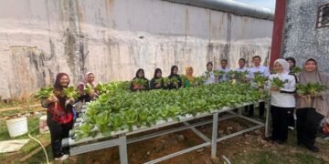 WhatsApp Image 2026 03 25 at 10.11.20