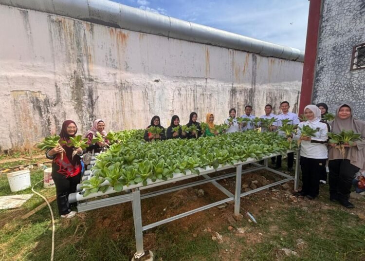 WhatsApp Image 2026 03 25 at 10.11.20