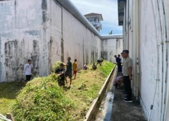 WhatsApp Image 2026 03 25 at 12.39.55