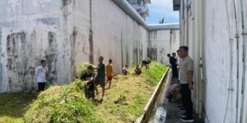 WhatsApp Image 2026 03 25 at 12.39.55