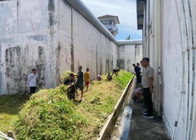 WhatsApp Image 2026 03 25 at 12.39.55