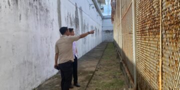 WhatsApp Image 2026 03 25 at 12.40.00