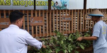 WhatsApp Image 2026 03 25 at 14.05.00