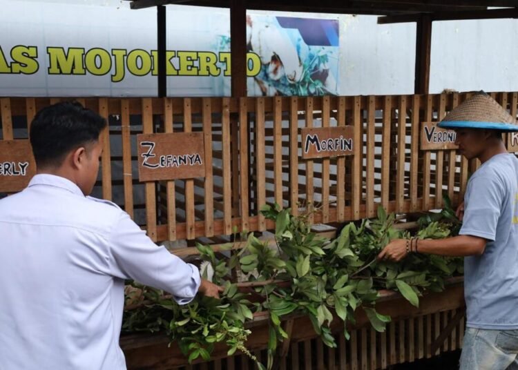 WhatsApp Image 2026 03 25 at 14.05.00