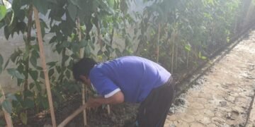 WhatsApp Image 2026 03 26 at 08.50.58