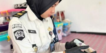 WhatsApp Image 2026 03 26 at 10.29.49