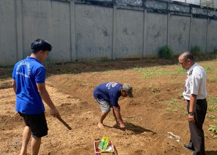 WhatsApp Image 2026 03 26 at 10.37.36