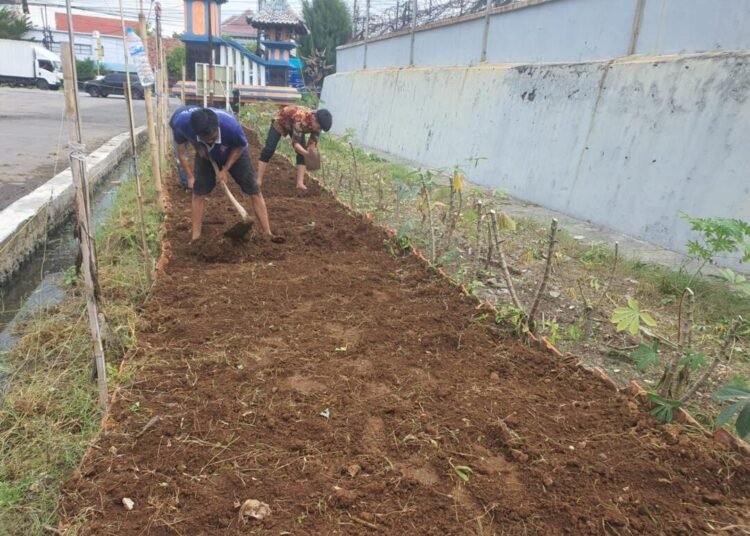 WhatsApp Image 2026 03 27 at 18.40.13