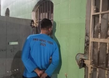 WhatsApp Image 2026 03 30 at 02.08.19