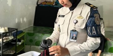 WhatsApp Image 2026 03 30 at 10.38.23