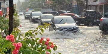 WhatsApp Image 2026 03 30 at 19.12.01 1