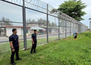 afc43590 f81e 404e bd5d 72762568073d