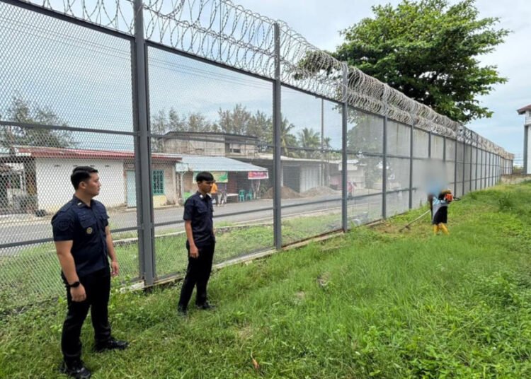 afc43590 f81e 404e bd5d 72762568073d