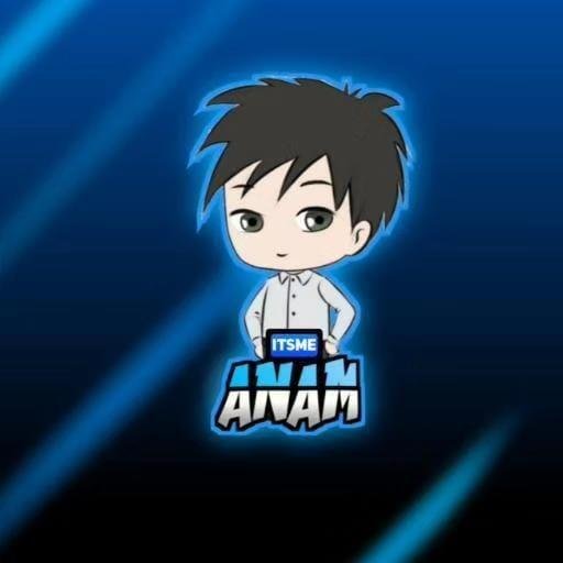 anam 1 1