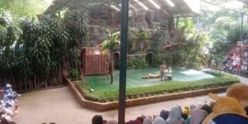 foto pertunjukan aneka satwa 11zon 696adc45ed6415667c274ca2