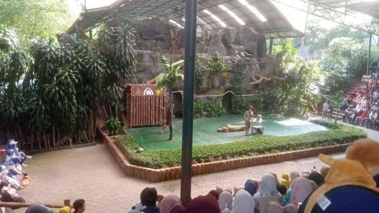 foto pertunjukan aneka satwa 11zon 696adc45ed6415667c274ca2