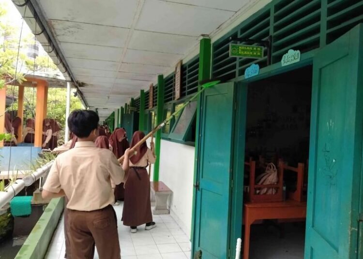 img20260206074233 69858f3a34777c4ab424be52