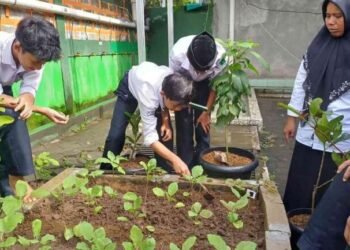 lasri 2026 1 69a8e1e134777c352d6e8b64