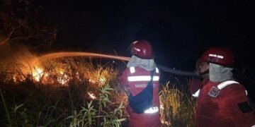 Manggala Agni Berjibaku Padamkan Karhutla di Riau, Petugas Tetap Siaga Pantau Harimau Sumatera