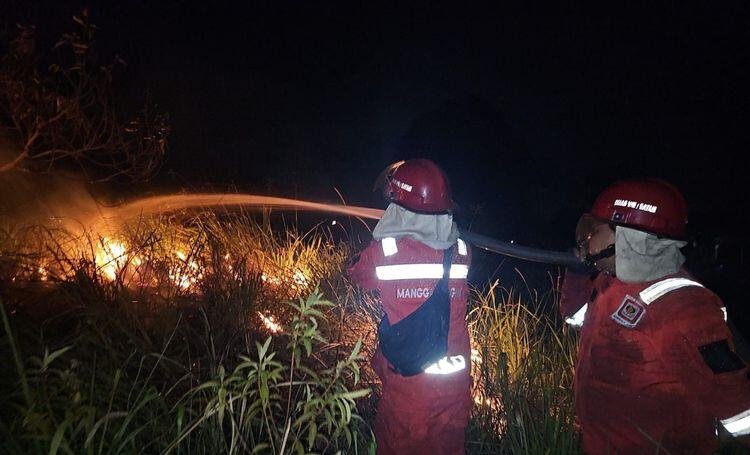 Manggala Agni Berjibaku Padamkan Karhutla di Riau, Petugas Tetap Siaga Pantau Harimau Sumatera