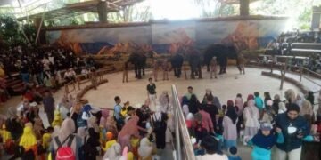 pertunjukan gajah safari 11zon 696ac46e34777c408a021a03