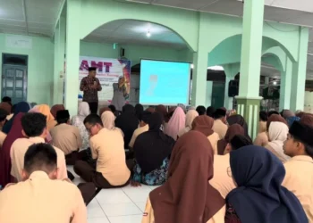 whatsapp image 2026 01 30 at 14311220260130144451