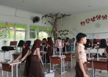 whatsapp image 2026 02 09 at 08303920260210151313