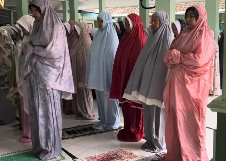 whatsapp image 2026 02 24 at 08250820260224082918