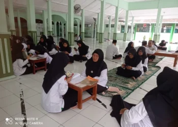 whatsapp image 2026 02 24 at 14013920260225054901