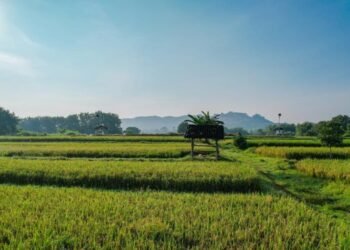 40cf332c 22bd 4716 94a0 af991b263dcc