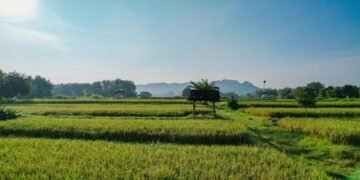 40cf332c 22bd 4716 94a0 af991b263dcc