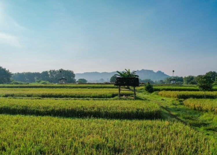 40cf332c 22bd 4716 94a0 af991b263dcc