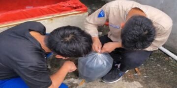 "SMP Wijaya Kusuma Jakarta Utara hadirkan program budidaya ikan lele untuk asah keterampilan hidup dan kewirausahaan siswa. Simak keseruan belajar mandiri di sini!"