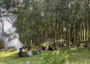 Pengunjung menggelar piknik bersama keluarga di kawasan hutan karet ‘Alaska’ saat libur Lebaran 2026.