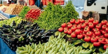 Pasar tradisional menjadi salah satu ruang hidup bagi pelaku UMKM dalam menggerakkan ekonomi masyarakat. Melalui transaksi harian antara pedagang dan pembeli, sektor ini berperan penting dalam menjaga perputaran ekonomi lokal serta menyediakan kebutuhan pangan bagi masyarakat.