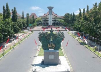 DCIM/100MEDIA/DJI_0177.JPG