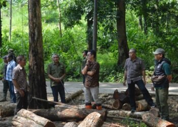 Pastikan Pengelolaan Hutan Sesuai SOP, Administratur KPH Ciamis Turun Langsung Cek Lapangan dan Bina Petugas Parigi 46 Kunjungan Kerja