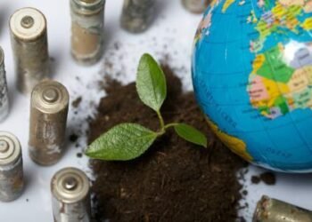 Gambar tersebut menunjukkan tanaman kecil yang tumbuh di tanah di samping bola dunia, dikelilingi baterai bekas.